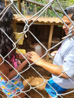 Cabañas las abuelas